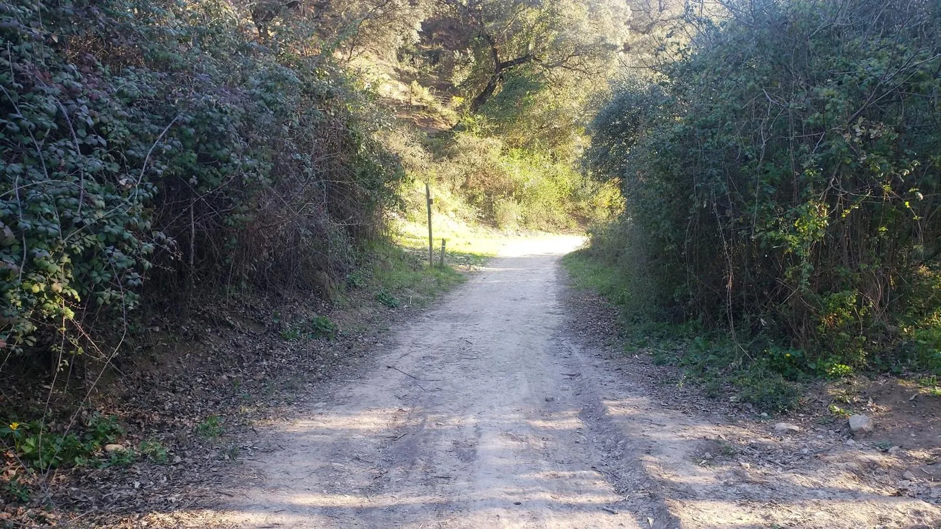 Alojamiento Rural Casitas Cueva Del Gato Benaoján Ferienhaus